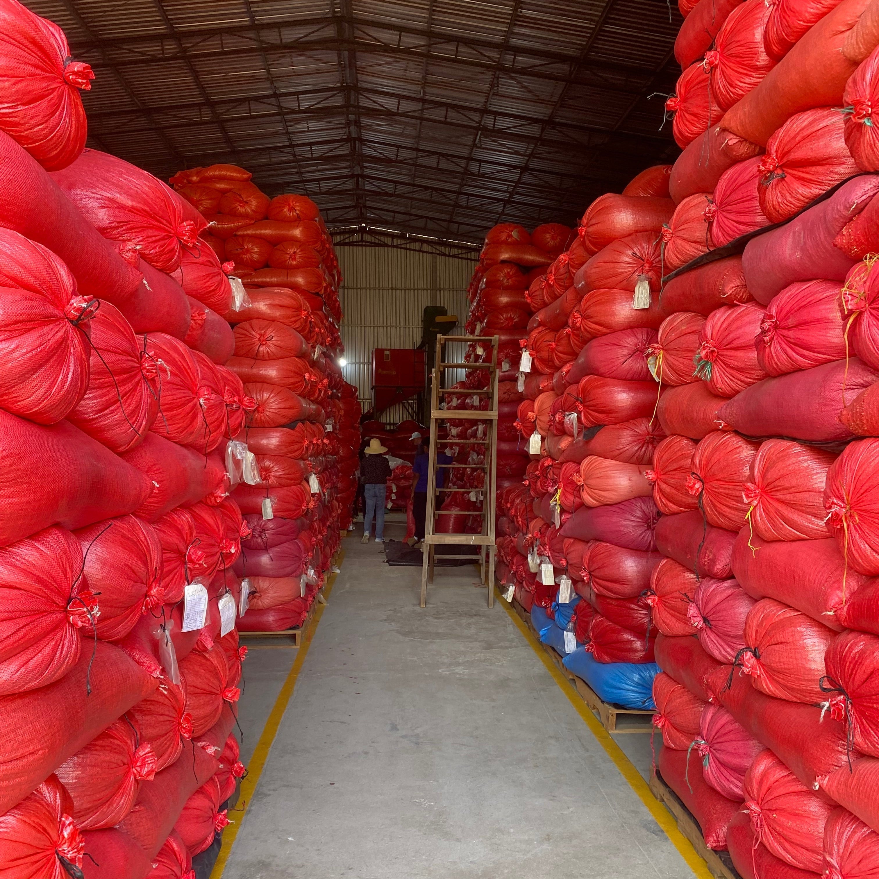 From Seed to Sip: Why Coffee Supply Chains Deserve a Second Look