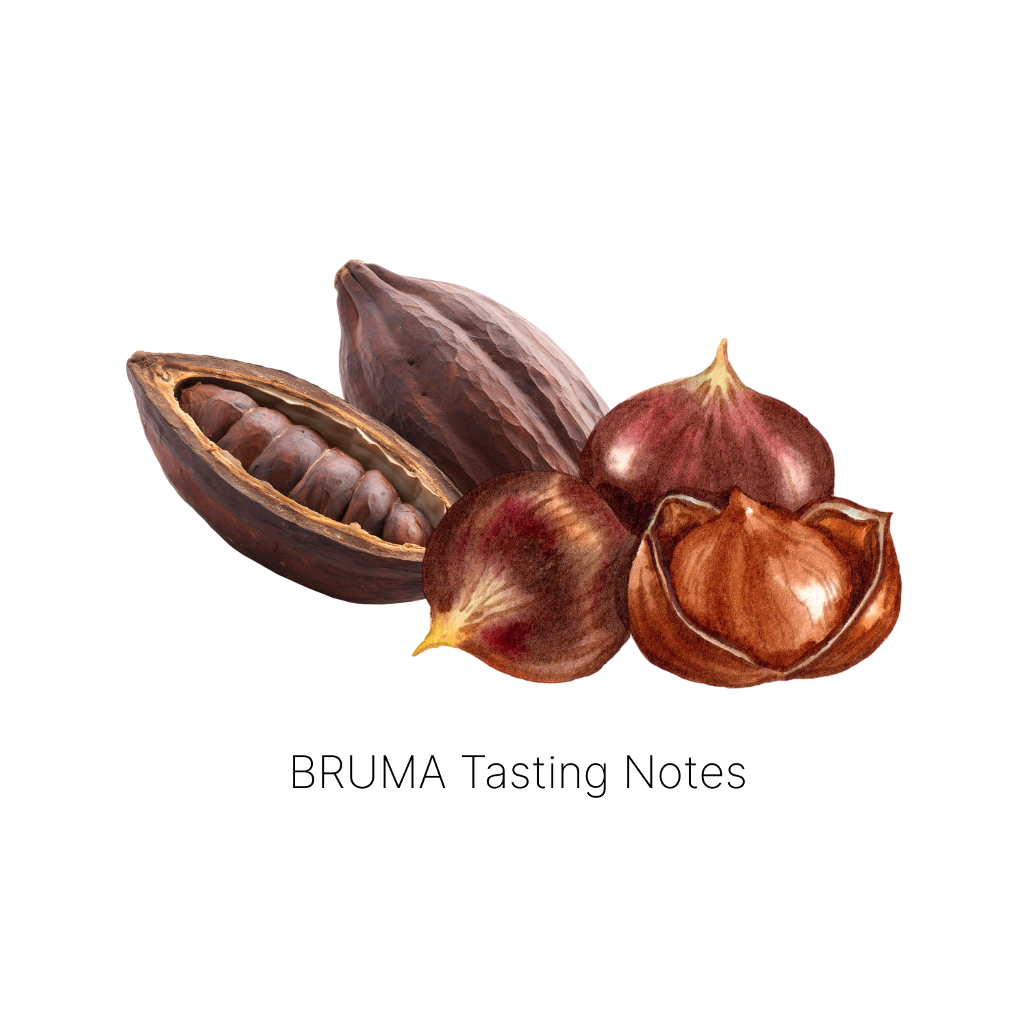 Bruma - Espresso House Blend