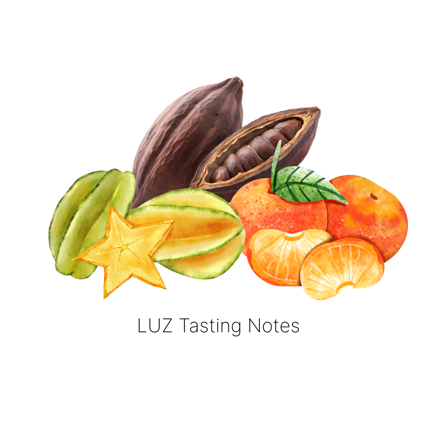 Luz - Red Catuai Washed