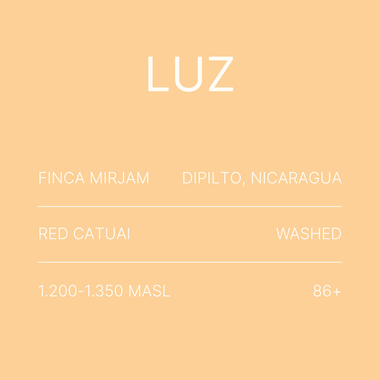 Luz - Red Catuai Washed