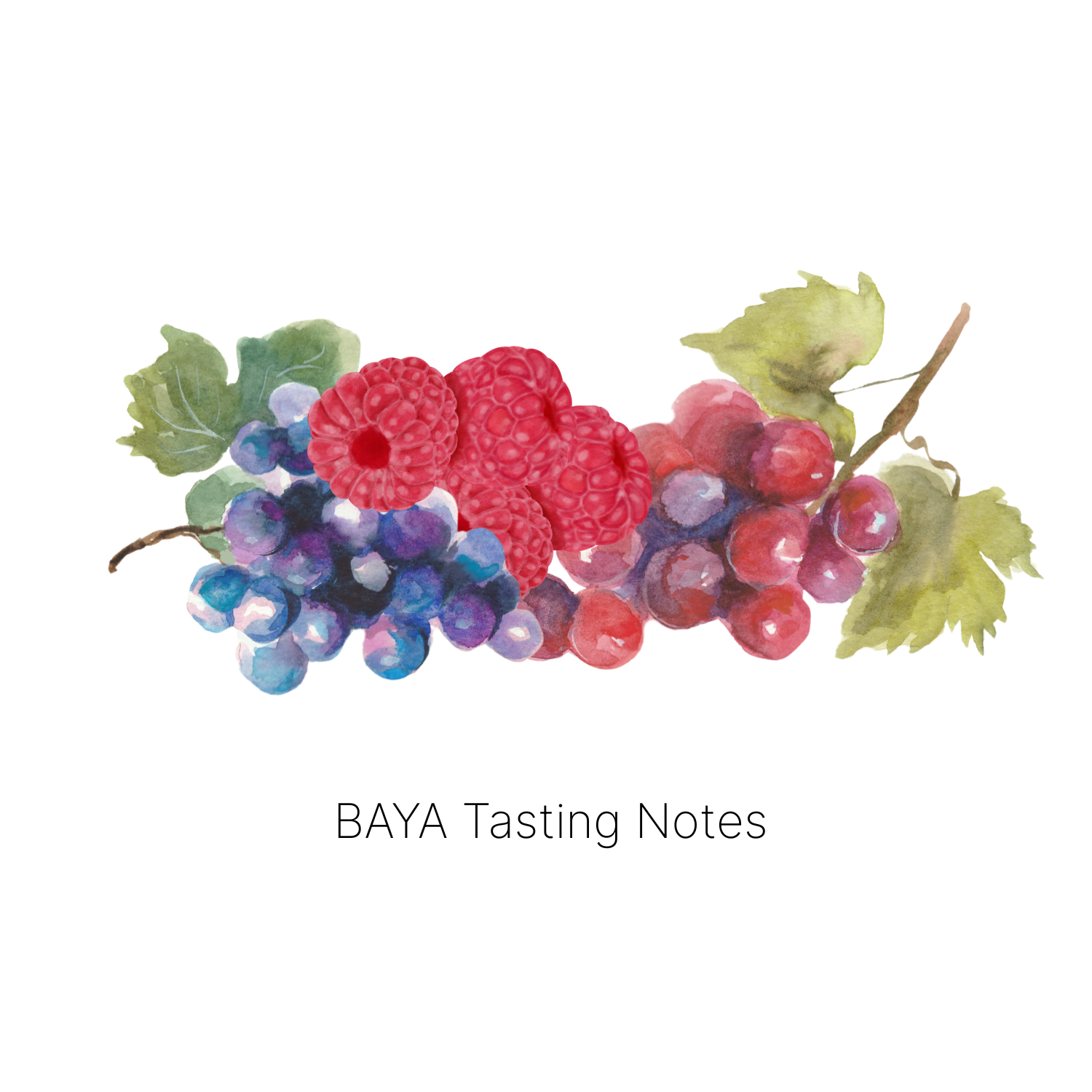 Baya - Limited Spring Edition